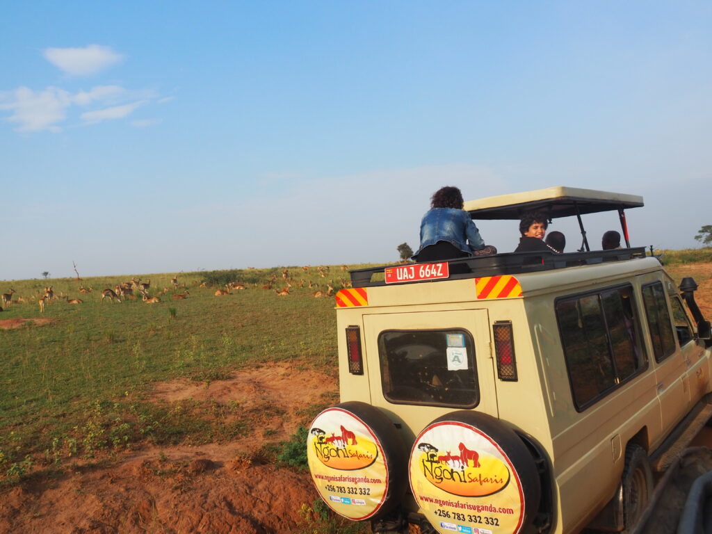 Our Safari Game drive at Murchison