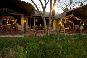 Mara intrepids club