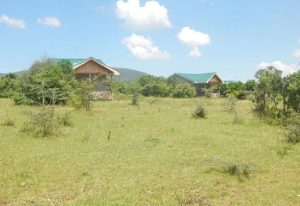 Nalepo mara lodge
