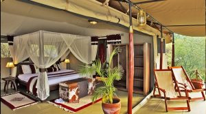 Mara bush camp – private wing