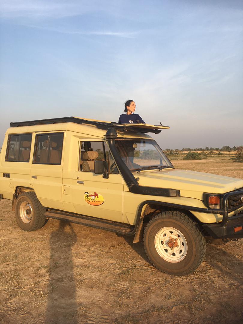 game drive female solo traveller