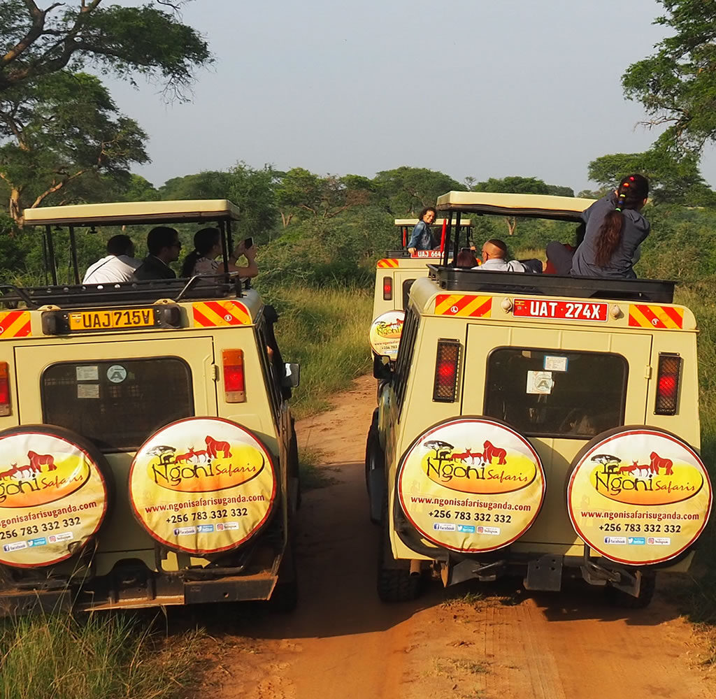 Our Group of Travellers Having Game Drive at Murchison Falls National Park.