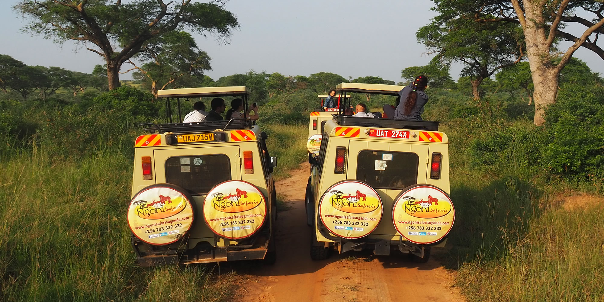 Our Group of Travellers Having Game Drive at Murchison Falls National Park.