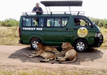 Our Clients on the Game drive at Queen Elizabeth National Park.