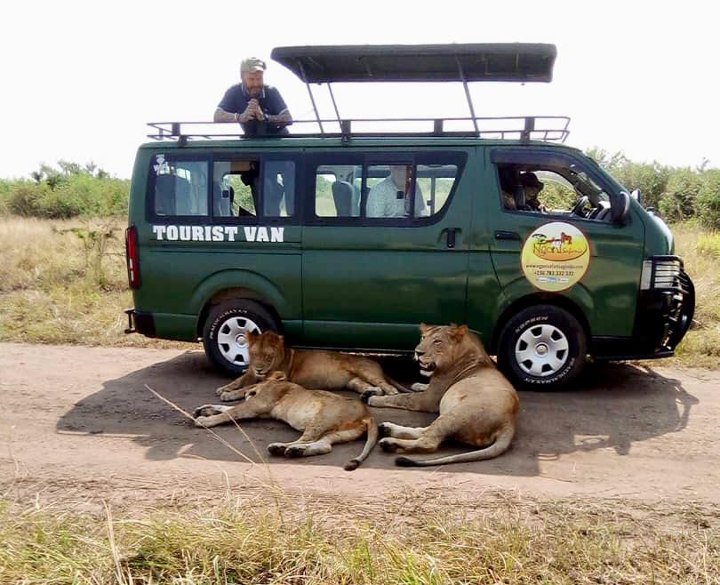 Our Clients on the Game drive at Queen Elizabeth National Park.