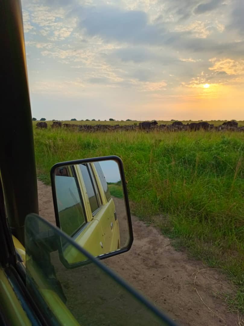 How To Book A Ugandan Safari? - Uganda Safaris | Gorilla Trekking ...