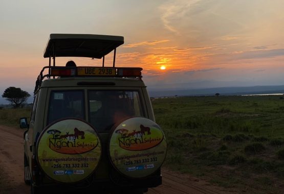 Clients enjoying the sunset at Murchison Falls National Park.