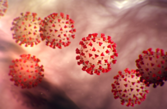 Effects of Coronavirus on the Tourism Sector