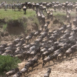 5-Day Masai Mara Amboseli Luxury Safari