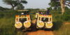 10-Day Highlight of Uganda Wildlife and Its Nature