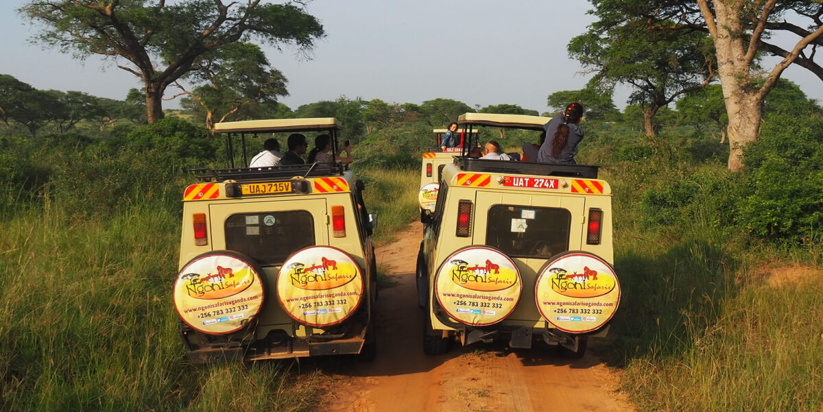 Safari Game Drive With 4x4 Safari Land Cruiser Extended