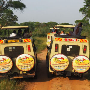 10-Day Highlight of Uganda Wildlife and Its Nature