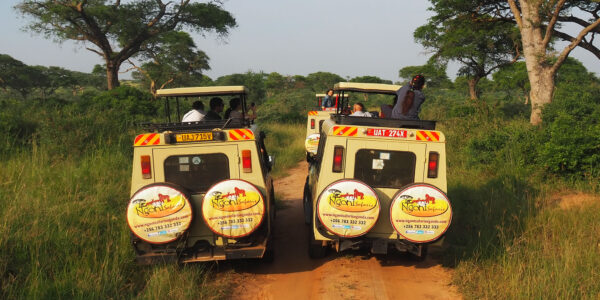 10-Day Highlight of Uganda Wildlife and Its Nature