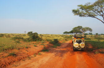 10 Frequently Asked Questions About Uganda Safaris