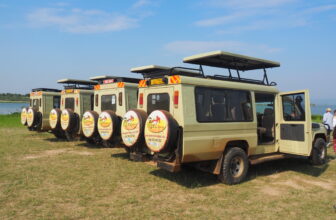 Ngoni Safaris Reviews