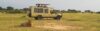 8-Day Beach & Safari Zanzibar and Serengeti