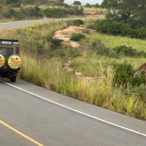 8-Day Experience Gorillas, Chimps and Big 5 Game Drives