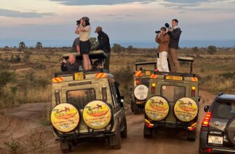 Safari in Africa
