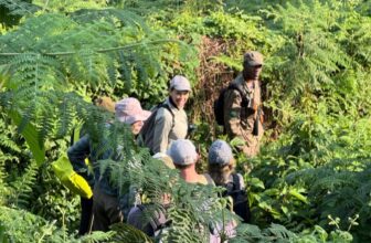 Bigodi Swamp Walk in Kibale National Park