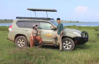 Best Uganda Safari Company for Chinese Travelers | Ngoni Safaris