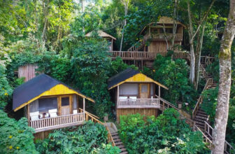 Best Midrange Lodges in Bwindi for Gorilla Trekking