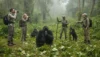 18-Day Safari Exploring Almost All Uganda National Parks