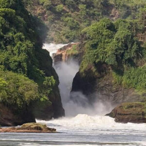 9-Day Murchison Falls, Big 5, Chimps & Gorillas Tracking