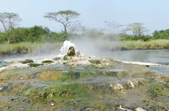 Semuliki National Park and Sempaya Hot Springs | Ngoni Safaris