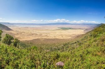 Ngorongoro Crater Tanzania Safari Guide | Ngoni Safaris
