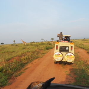 13-Day From Kenya to Tanzania and Zanzibar