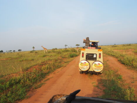 13-Day From Kenya to Tanzania and Zanzibar