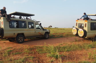 Uganda Wildlife Safaris | Wildlife Tours & Packages