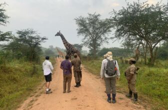 Uganda Safari Packages | Ngoni Safaris Uganda