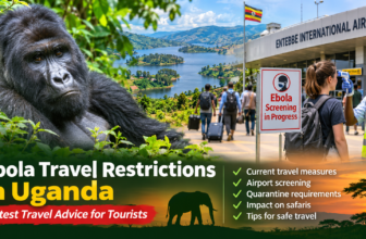 Uganda Ebola Travel Restrictions 2026: Latest Advice for Tourists