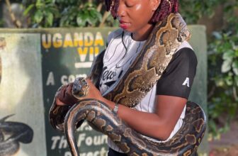 Uganda Reptile Village: Snakes, Chameleons & Wildlife