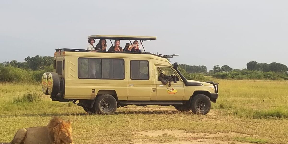 Safari Game Drive With 4x4 Safari Land Cruiser Extended