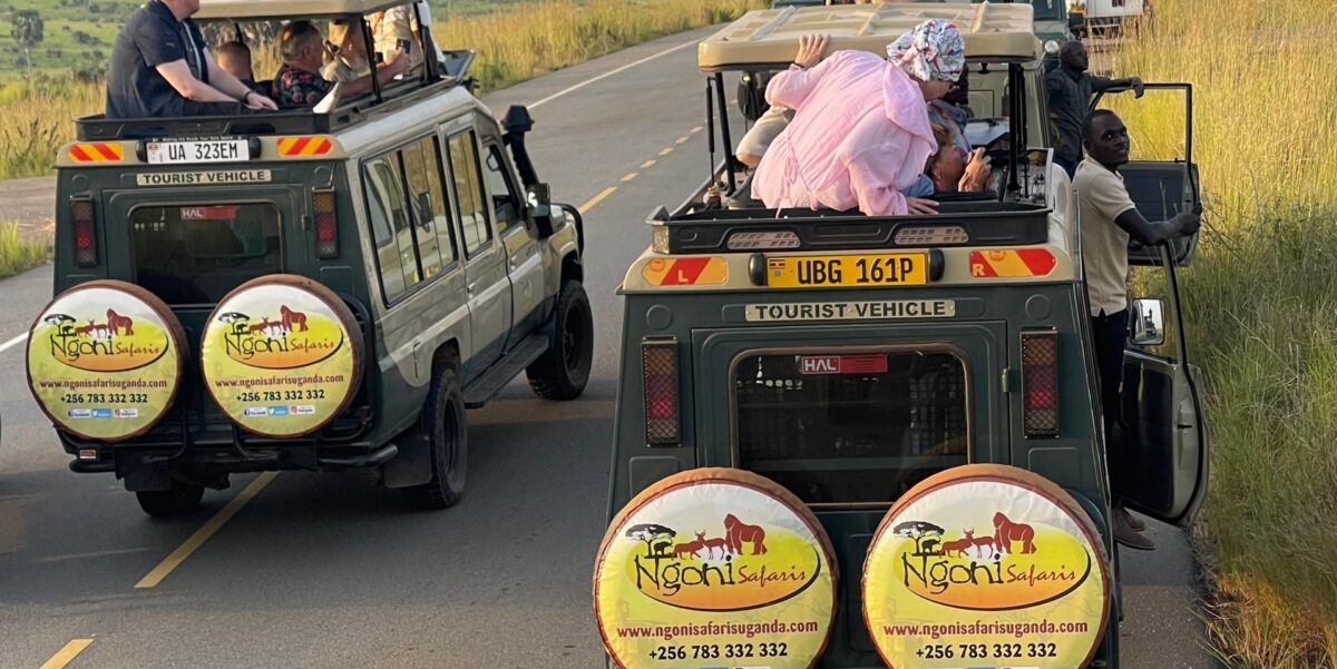 Murchison Safari Game Drive With 4x4 Safari Land Cruiser Extended