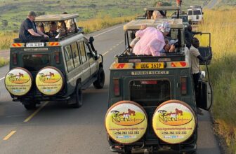 Uganda Safari Packages from Kigali | Ngoni Safaris