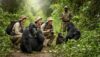 3-Day Uganda Gorilla Trekking Through Rwanda