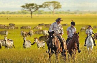 Horse Riding Safaris in Uganda | Ngoni Safaris