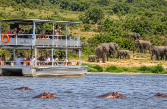 Kazinga Channel Boat Cruise | Uganda Wildlife Safari
