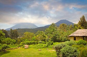 Mgahinga Gorilla National Park: Gorillas, Golden Monkeys & Volcano Hiking