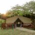 Ankole cattle tours in Uganda