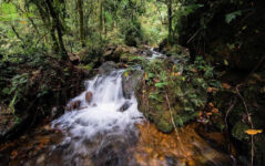 15-Day Wildlife Adventure Trip to the Pearl of Africa