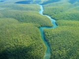 Congo River Wildlife, Rainforest & Travel Guide