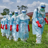 Uganda Declared Ebola-Free Plan Your Safari with Ngoni Safaris