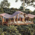 Uganda Safari Packages | Ngoni Safaris Uganda