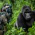 Why Choose Ngoni Safaris for Your Journey?
