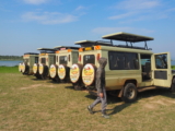 Best Time to Visit Uganda