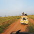 Uganda Safari: The Complete Guide to Planning Your 2027 Safari